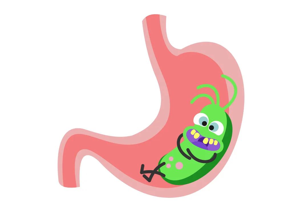 怎么得卡式幽门螺杆菌健康科普--幽门螺杆菌常识_https://www.jmylbn.com_新闻资讯_第2张